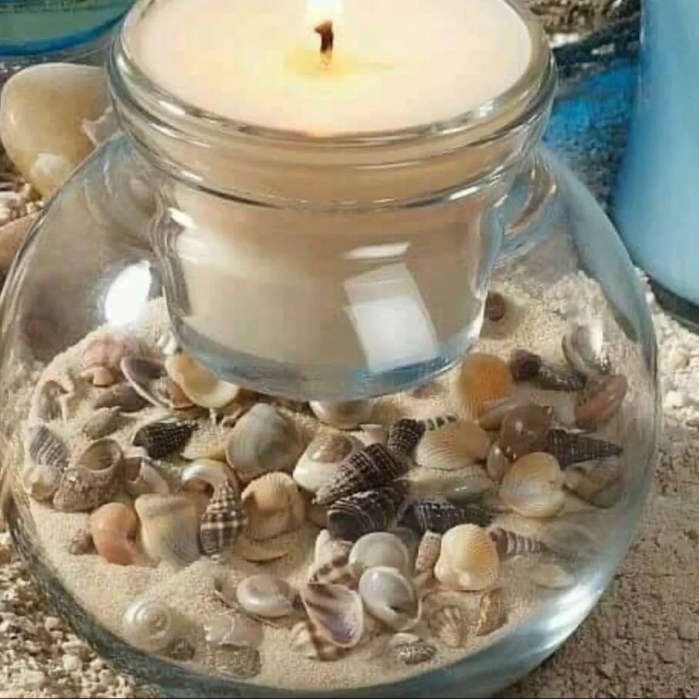 Shells 🐚 and corks - Picture 2 of 16